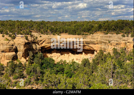 Cliff Palace, falaise, demeure dans le Parc National de Mesa Verde Banque D'Images