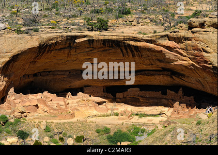 Maison longue, falaise, demeure dans le Parc National de Mesa Verde Banque D'Images