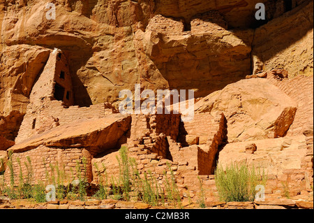 Maison longue, falaise, demeure dans le Parc National de Mesa Verde Banque D'Images