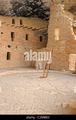 Maison de l'arbre de l'épinette, falaise, demeure dans le Parc National de Mesa Verde Banque D'Images