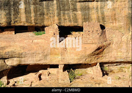 Fire temple house, falaise, demeure dans le Parc National de Mesa Verde Banque D'Images