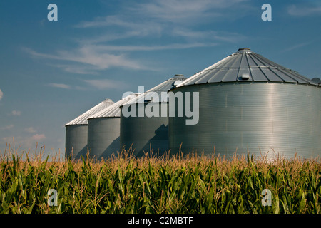 Les cellules de stockage de céréales à Midwest United States cornfield Banque D'Images