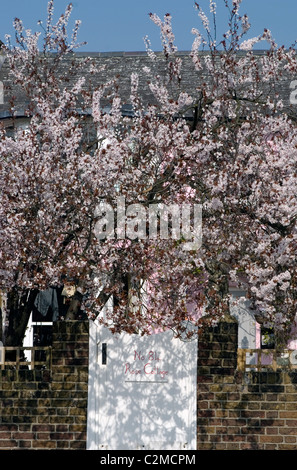 Blossom à la porte de Rose Cottage, Strand sur le green, Londres Banque D'Images