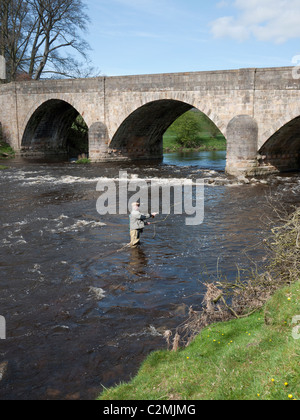 La pêche à la mouche sur la rivière Ribble à Mitton Bridge, Clitheroe, Lancashire, England, UK. Banque D'Images