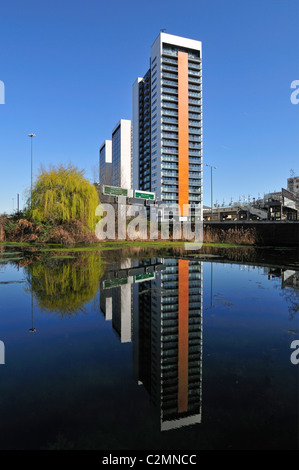 Virginie Quay highrise residential development sur East India Dock, East London, Royaume-Uni Banque D'Images