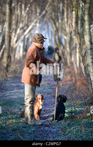 Homme debout avec des chiens entraînés à tirer Banque D'Images