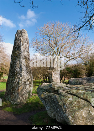 Mégalithes préhistoriques dans la forêt, à Erdeven, Morbihan, Bretagne, France, Europe Banque D'Images