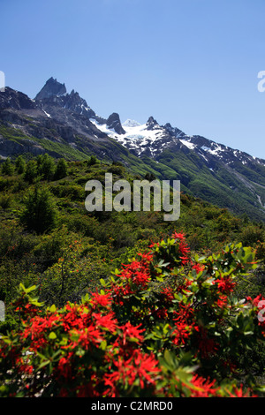 Vues des Torres del Paine, Patagonie, Chili, Amérique du Sud. Banque D'Images