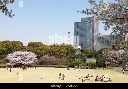Fleur de cerisier dans le Jardin Est du Palais Impérial Tokyo Japon Banque D'Images