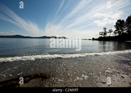 Randonnées au parc Sook. L'île de Vancouver, Colombie-Britannique, Canada. Banque D'Images