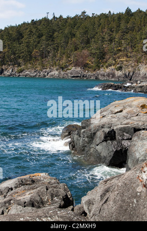 Randonnées au parc Sook. L'île de Vancouver, Colombie-Britannique, Canada. Banque D'Images