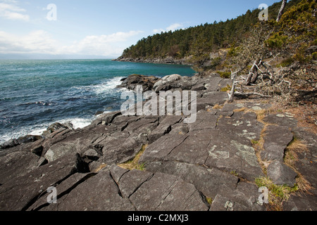 Randonnées au parc Sook. L'île de Vancouver, Colombie-Britannique, Canada. Banque D'Images