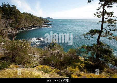 Randonnées au parc Sook. L'île de Vancouver, Colombie-Britannique, Canada. Banque D'Images