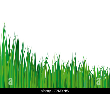 Fond d'herbe illustration vectorielle pour l'utilisation de conception Banque D'Images