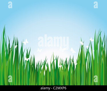 Fond d'herbe illustration vectorielle pour l'utilisation de conception Banque D'Images