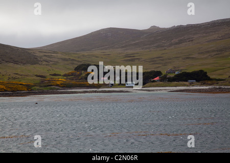 La petite colonie sur l'île de la carcasse, West Falkland Banque D'Images