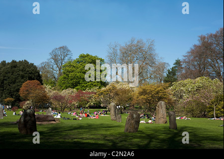 Les gens se détendre dans Cardiff Bute Park sur une journée de printemps ensoleillée près de la Gorsedd Stone Circle, South Wales, Royaume-Uni Banque D'Images