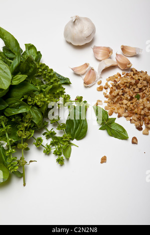 L'ail basilic et noix Ingrédients pour faire le pesto Banque D'Images