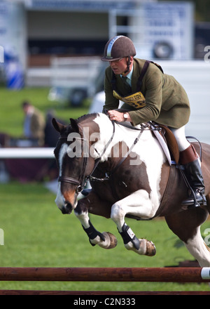 Show Jumping Banque D'Images