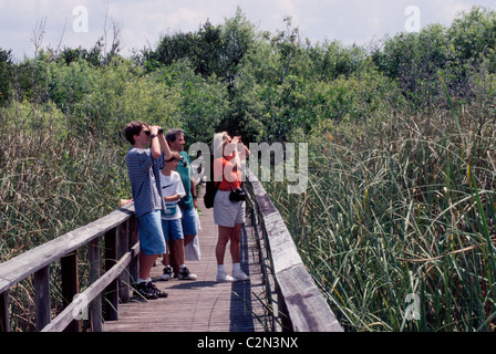 Recherche une famille avec des jumelles pour les oiseaux à partir d'une promenade au-dessus de cette nature sauvage dans les zones humides du Parc National des Everglades de Floride, USA. Banque D'Images