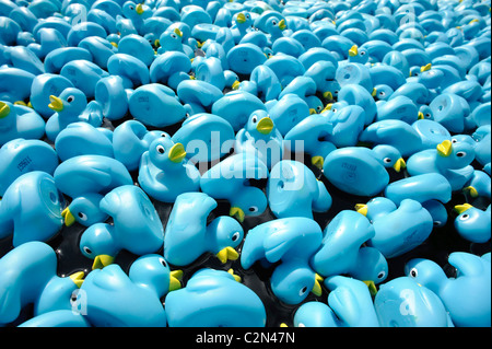 Le Guinness World Record pour le "plus grand course de canards en plastique" a été établi l'an dernier, lorsque 175 000 canards a couru vers le bas de la Tamise. Banque D'Images