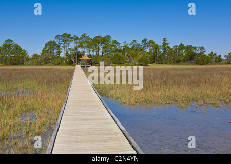 La promenade du marais dans la chasse Island State Park dans la région de Beaufort, Caroline du Sud Banque D'Images