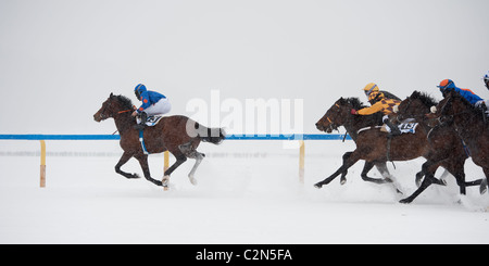 Les courses de chevaux sur le lac gelé 'White Turf 2011' à St Moritz, Suisse Banque D'Images