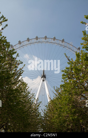 Le London Eye (grande roue du millénaire prises par le dessous des arbres - composition inhabituelle Banque D'Images