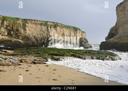 Un photographe à tirer sur l'aileron de requin Cove situé sur la côte de Santa Cruz, en Californie. Banque D'Images