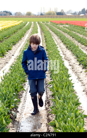 Garçon dans champ de tulipes Banque D'Images