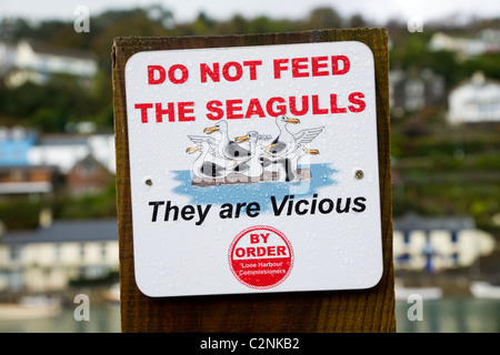 Ne pas nourrir les mouettes mouettes / signe / signes / avis dans East Looe, Cornwall. UK. (59) Banque D'Images