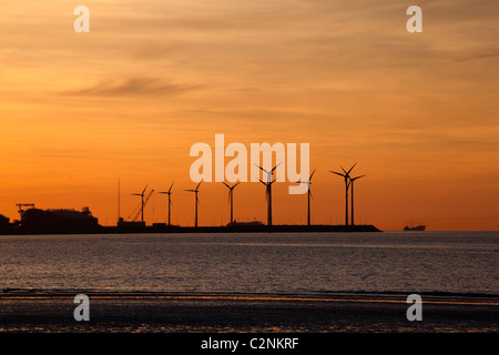 Port de Zeebrugge le soir. Vue de Knokke-Heist. Photo D.V. Banque D'Images