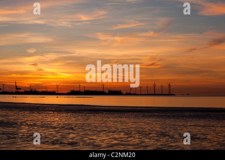 Port de Zeebrugge le soir. Vue de Knokke-Heist. Photo D.V. Banque D'Images