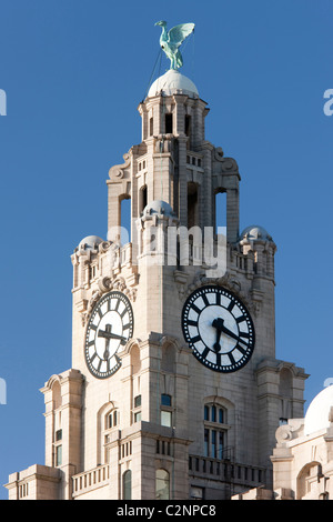 La tour de l'horloge en haut de l'Édifice du foie à Pier Head à Liverpool, Merseyside, England, UK. Banque D'Images