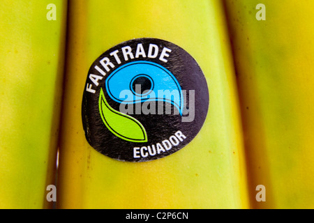Les bananes du commerce équitable à partir de l'Équateur Banque D'Images