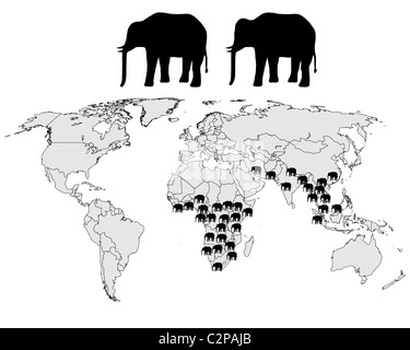 Plage des éléphants Banque D'Images