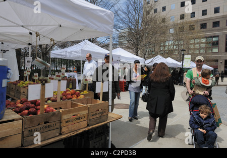 Un marché de producteurs dans la région de Battery Park City, un quartier de Manhattan à New York City. Banque D'Images