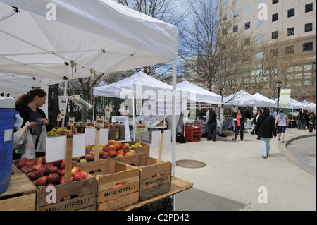 Un marché de producteurs dans la région de Battery Park City, un quartier de Manhattan à New York City. Banque D'Images