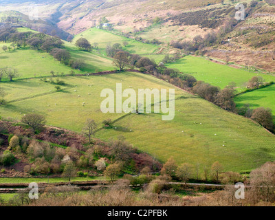 Eglwyseg à partir de la vallée de l'Offa's Dyke Path par Eglwyseg Eglwyseg Creigiau (montagne) Denbighshire, Wales Banque D'Images