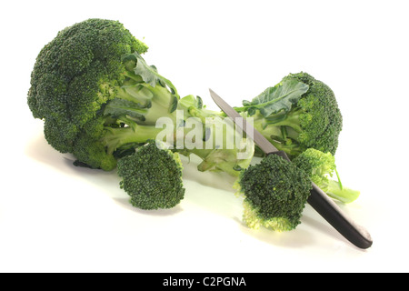 Deux têtes de brocoli vert sur fond blanc Banque D'Images