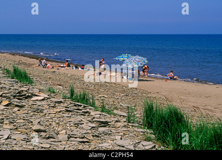 Les gens sur la plage à l'Éco-Centre Irving Ville de Bouctouche Nouveau-brunswick Province Canada Amérique du Nord Banque D'Images