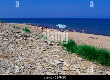 Les gens sur la plage à l'Éco-Centre Irving Ville de Bouctouche Nouveau-brunswick Province Canada Amérique du Nord Banque D'Images