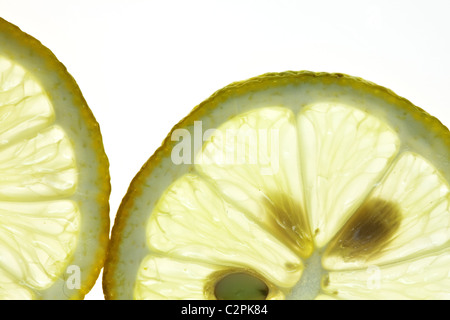 Tranches de citron isolated on white Banque D'Images