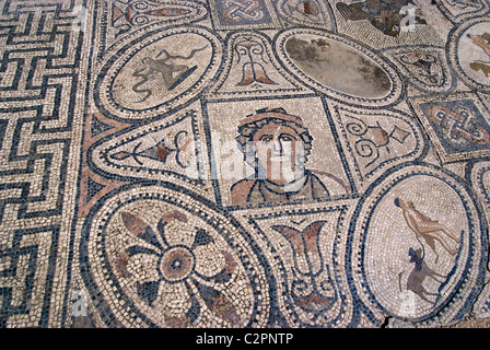 Travaux d'Hercule, Mosaic House, numide, site romain de Volubilis, près de Meknes, Maroc Banque D'Images