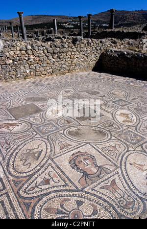 Travaux d'Hercule, Mosaic House, numide, site romain de Volubilis, près de Meknes, Maroc Banque D'Images