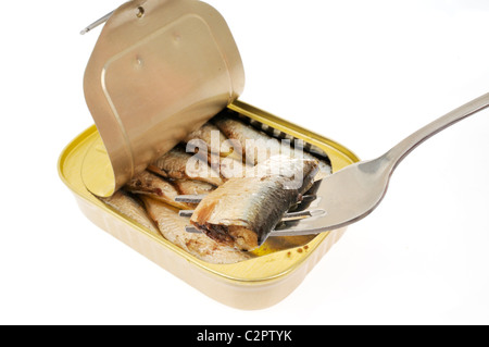 Ouvrir boîte de sardines avec une sardine sur une fourche sur fond blanc. Banque D'Images