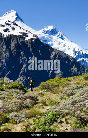 Randonneur la marche dans les sentiers à la recherche vers les sommets des montagnes en Nouvelle-Zélande Banque D'Images
