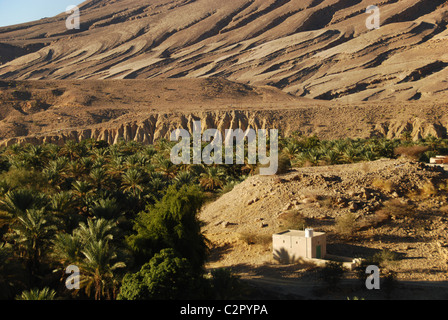 Oman, Wadi Bani Khalid, maisons par le ventilateur palmiers avec montagnes en arrière-plan dans le desert Banque D'Images