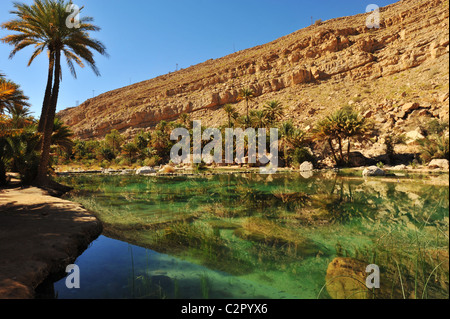 Oman, Wadi Bani Khalid, ventilateur palmiers avec rocheuses contre ciel clair reflétant dans l'eau Banque D'Images