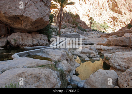Oman, Wadi Dayqah, version moderne de l'ancien système d'irrigation falaj, longeant des falaises rocheuses, et un palmier dans t Banque D'Images